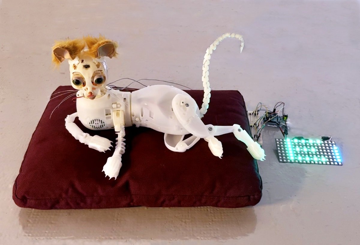 Photo d'un chat Sphynx, allongé sur un coussin rouge, conçu par Selin Dincer 