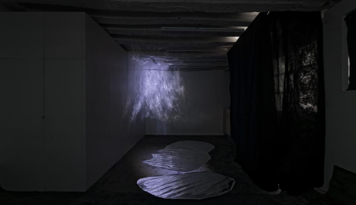 Photographie d'une installation d'Aurélien Mole