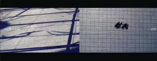 Photographie de l'oeuvre encyclopédie temporaire de corps de Yujin Nam