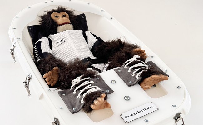 Singe robot astronaute par France Cadet 