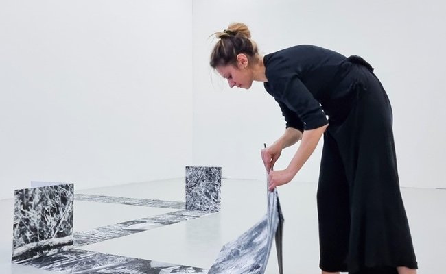 Portrait d'Arina Essipowitsch par Claire Camous 