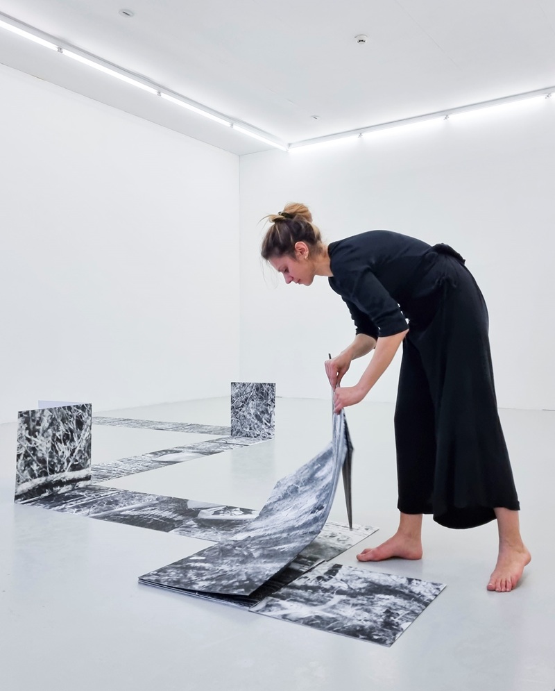 Portrait d'Arina Essipowitsch par Claire Camous